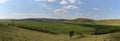 Landscape of the reed natural reserve from Sic, Romania.